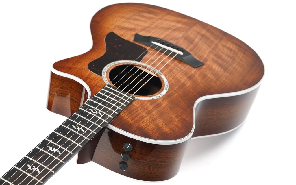 Taylor 424ce Walnut Special Edition 2023-8.jpg