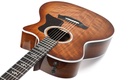Taylor 424ce Walnut Special Edition 2023-8.jpg
