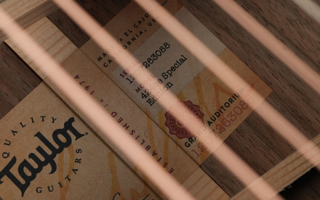 Taylor 424ce Walnut Special Edition 2023-11.jpg
