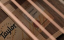 Taylor 424ce Walnut Special Edition 2023-11.jpg