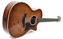 Taylor 424ce Walnut Special Edition 2023-12.jpg