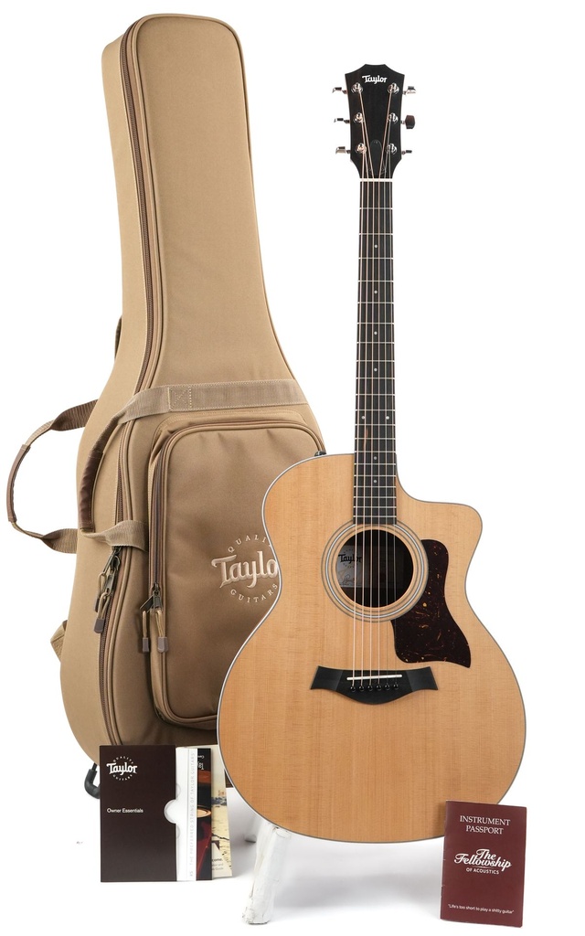 Taylor 214ce-1.jpg