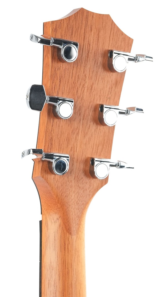 Taylor 214ce-5.jpg