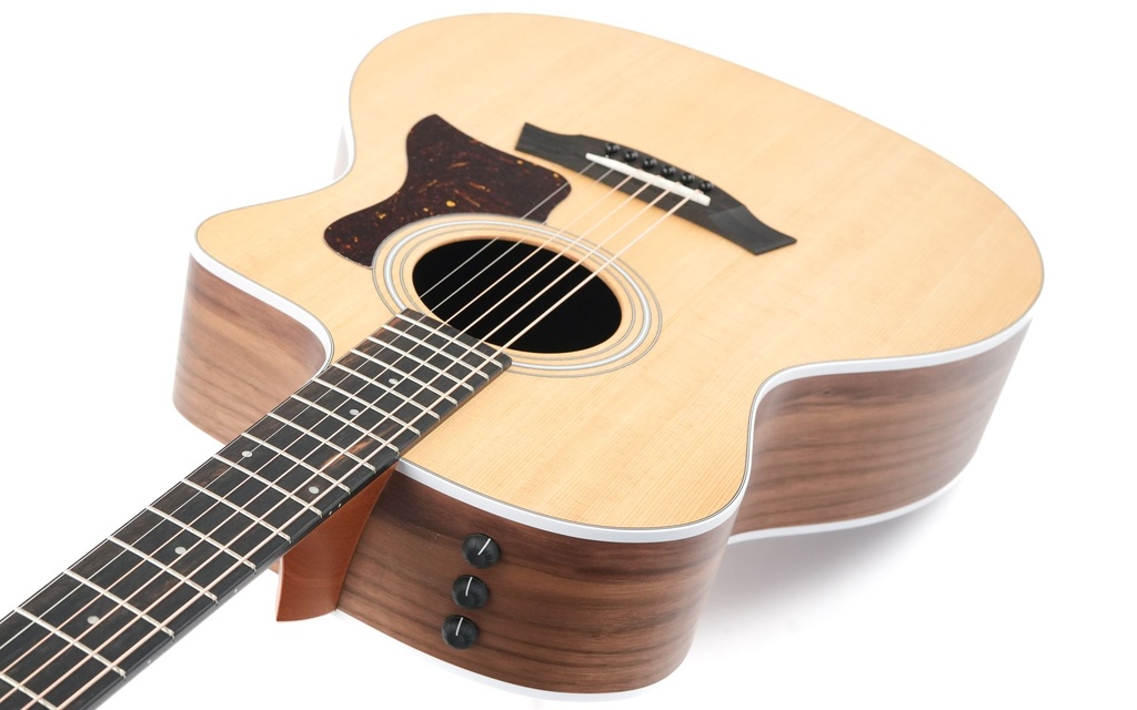 Taylor 214ce-8.jpg