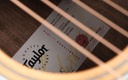 Taylor 214ce-10.jpg