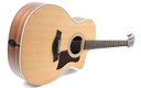 Taylor 214ce-12.jpg