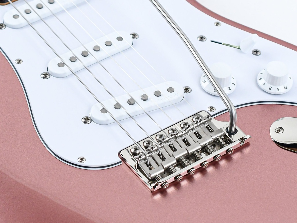 PRS Silver Sky Midnight Rose RW-10.jpg