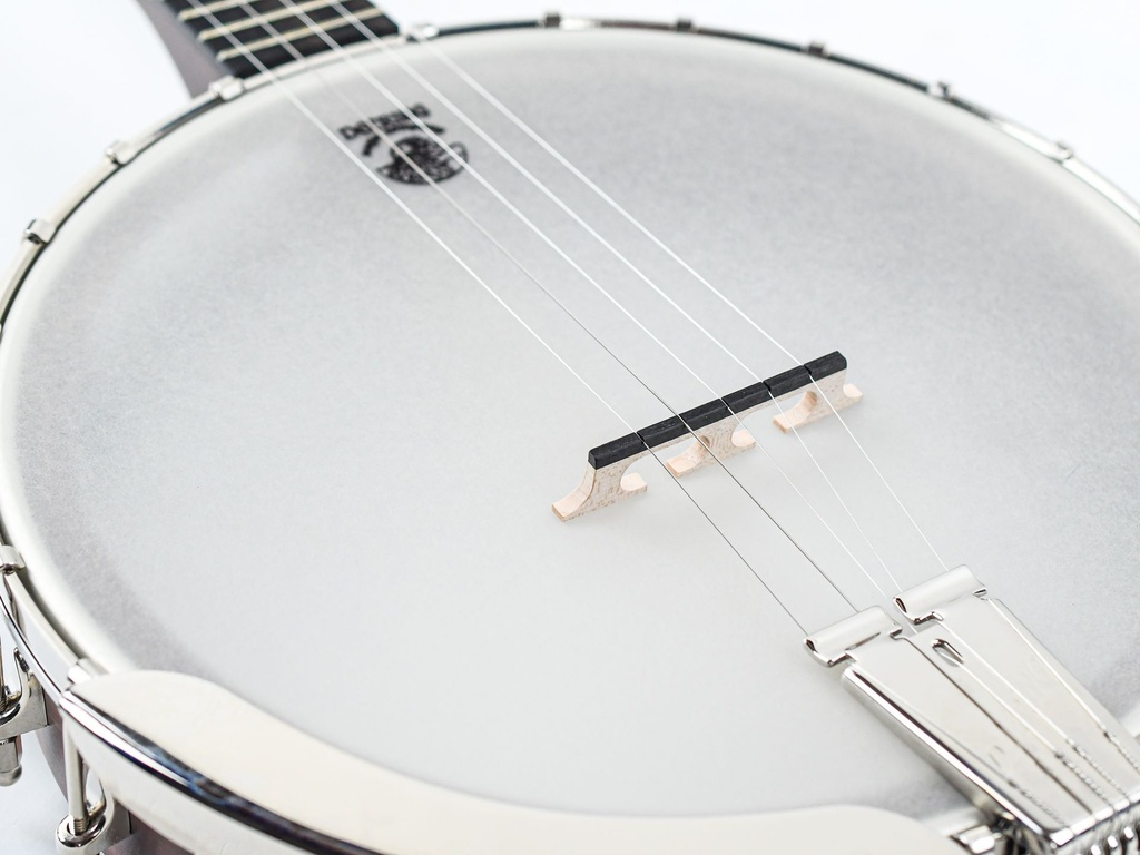 Deering Vega Senator 5-String Banjo-10.jpg