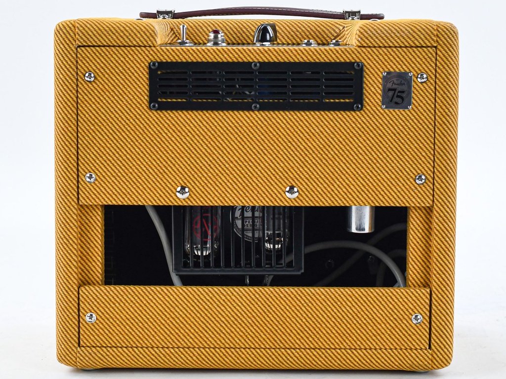 Fender 57 Custom Champ 230V-7.jpg