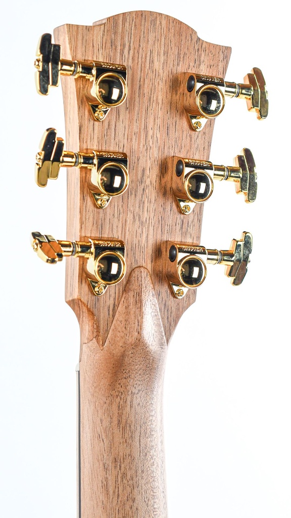 Cole Clark FL3EC-BLBL All Blackwood Ebony-4.jpg