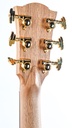 Cole Clark FL3EC-BLBL All Blackwood Ebony-4.jpg