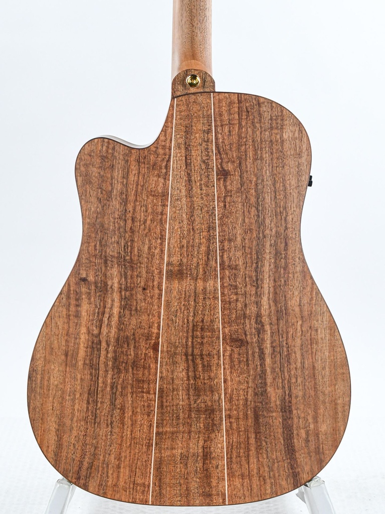 Cole Clark FL3EC-BLBL All Blackwood Ebony-5.jpg