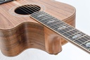 Cole Clark FL3EC-BLBL All Blackwood Ebony-8.jpg