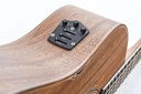 Cole Clark FL3EC-BLBL All Blackwood Ebony-12.jpg