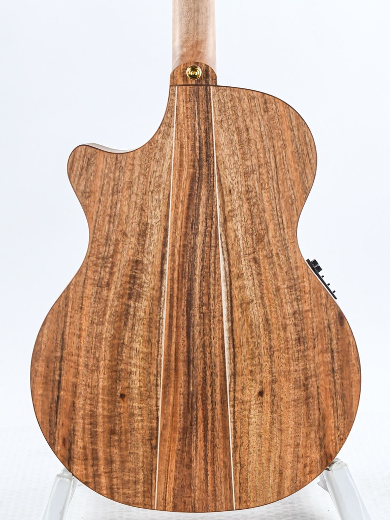 Cole Clark AN3EC-RDBL Redwood Blackwood Ebony-6.jpg