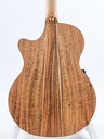 Cole Clark AN3EC-RDBL Redwood Blackwood Ebony-6.jpg