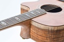 Cole Clark AN3EC-RDBL Redwood Blackwood Ebony-8.jpg