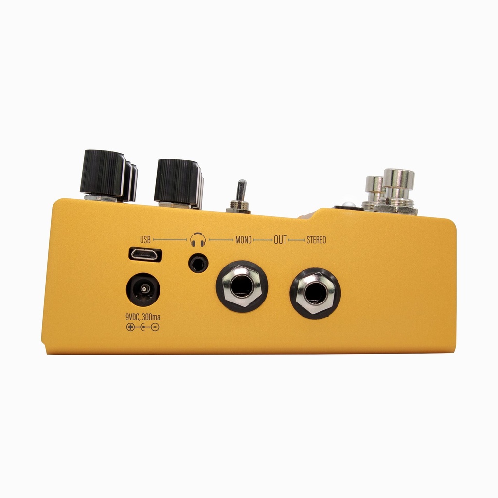 Walrus Audio Mako ACS1 Amp + Cab Simulator-5.jpg
