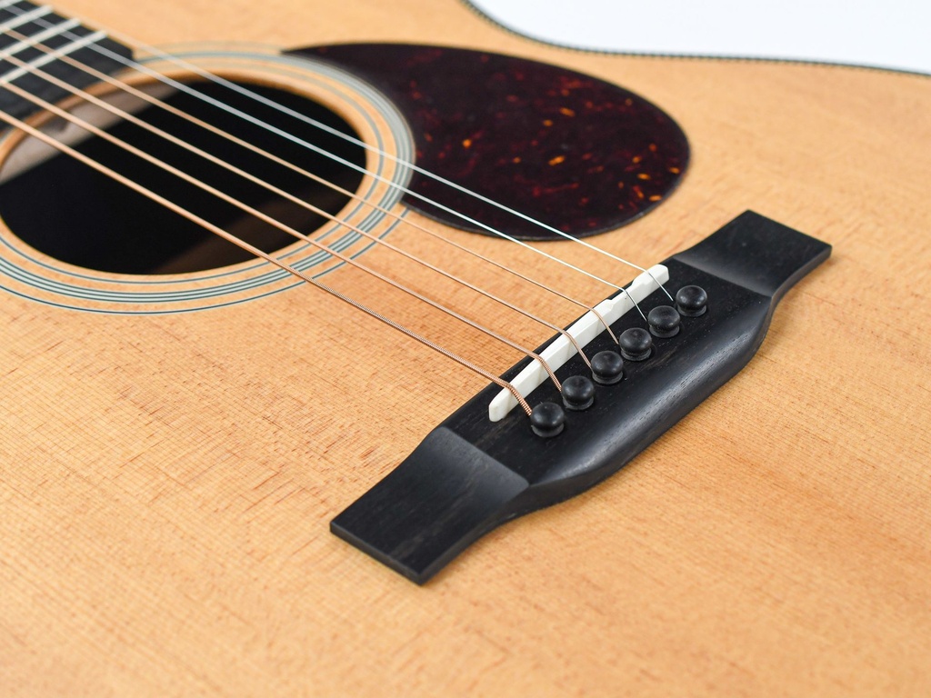 Eastman E3OME-10.jpg