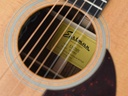 Eastman E3OME-11.jpg