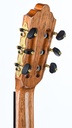 Wolfgang Jellinghaus Conservatory EF Cedar Granadillo B-Stock-5.jpg