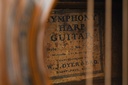 Larson Brothers Deyer Harp Guitar Style 3 ca. 1915-11.jpg