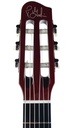godin-multiac-grand-concert-deluxe-4.jpg