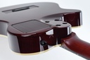 godin-multiac-grand-concert-deluxe-9.jpg
