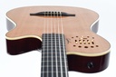 godin-multiac-grand-concert-deluxe-12.jpg