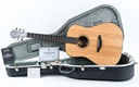 Furch Green D SM 2022.jpg