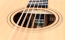 Furch Green D SM 2022-11.jpg