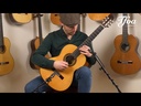 Bernabé M15 Spruce
