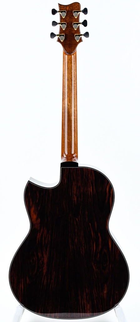 Michael Greenfield G1 Adirondack Cocobolo-7.jpg
