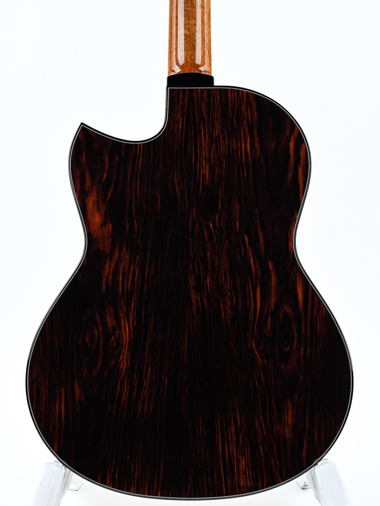 Michael Greenfield G1 Adirondack Cocobolo-6.jpg