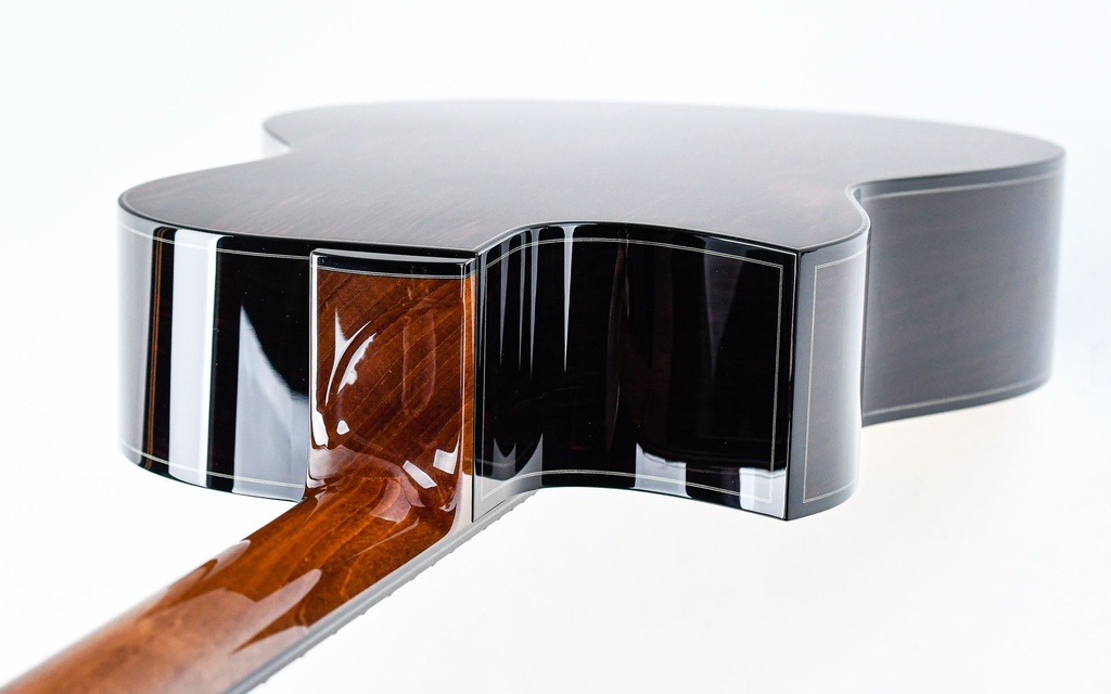 Michael Greenfield G1 Adirondack Cocobolo-9.jpg