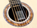 Michael Greenfield G1 Adirondack Cocobolo-11.jpg