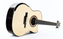 Michael Greenfield G1 Adirondack Cocobolo-13.jpg