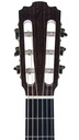 Karl Jurrs Crossover Rosewood Spruce Recent-4.jpg