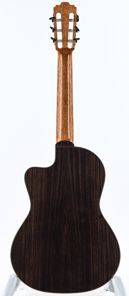 Karl Jurrs Crossover Rosewood Spruce Recent-7.jpg