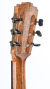 Karl Jurrs Crossover Rosewood Spruce Recent-5.jpg