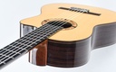 Karl Jurrs Crossover Rosewood Spruce Recent-8.jpg