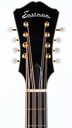 Eastman MDC804 Mandocello-4.jpg