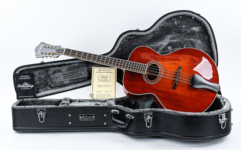 Eastman MDC804 Mandocello.jpg