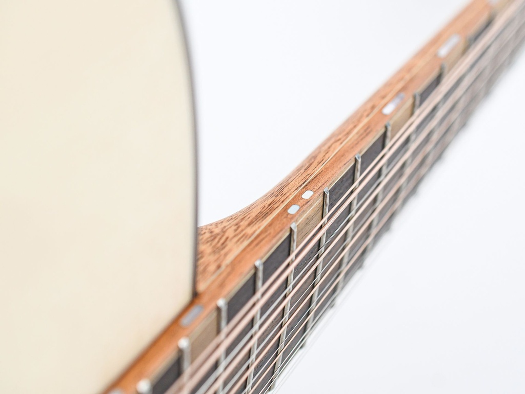 Furch Red Pure D-LR 12 String-12.jpg