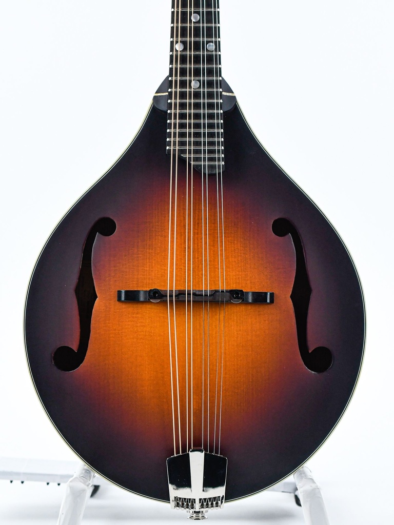 Eastman MD305E Sunburst-3.jpg