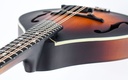 Eastman MD305E Sunburst-8.jpg