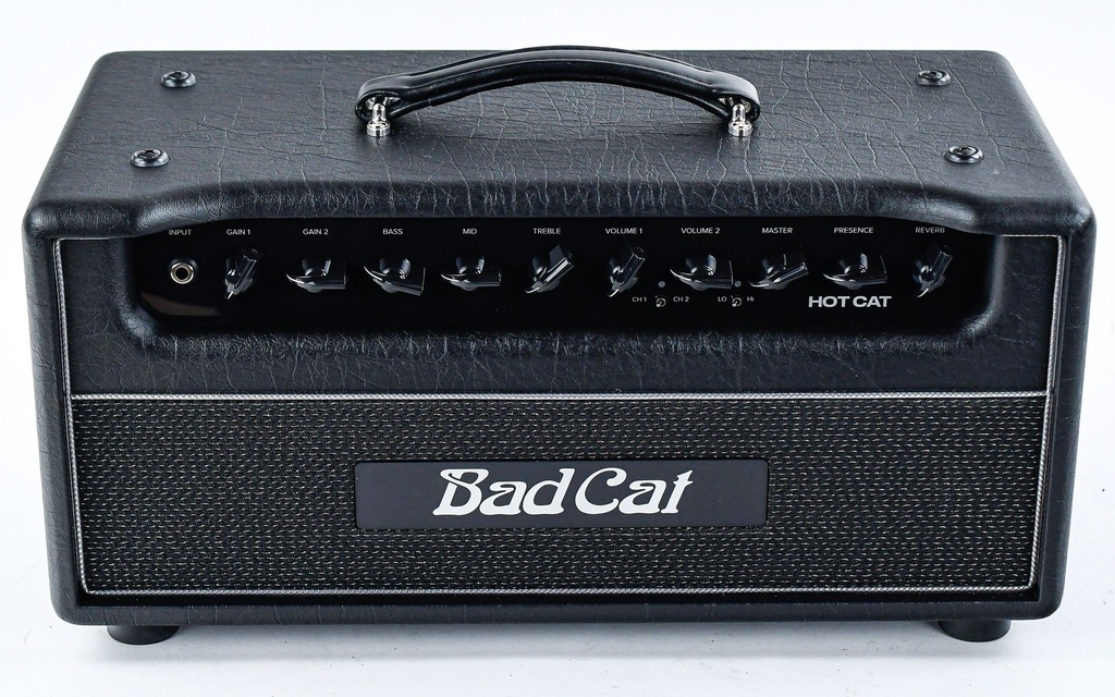 Bad Cat Hot Cat Head-4.jpg