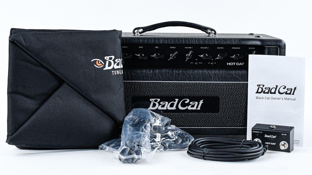 Bad Cat Hot Cat Head-2.jpg