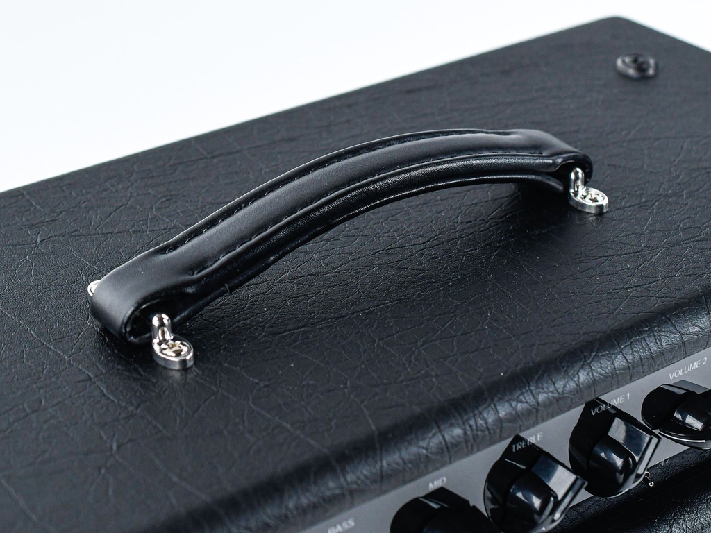 Bad Cat Hot Cat Head-5.jpg