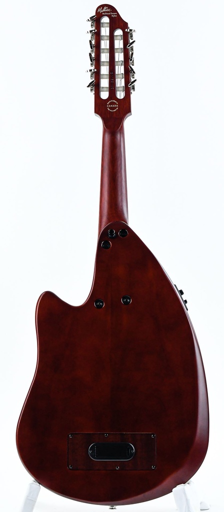 GODIN Multi Oud Encore Nylon Natural SG Fretless 11 string-7.jpg